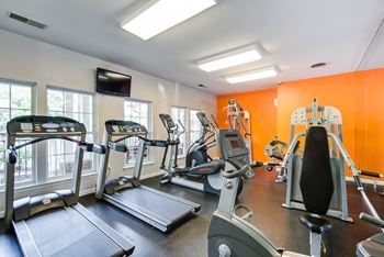 A gym with cardio machines and weights on the floor and windows